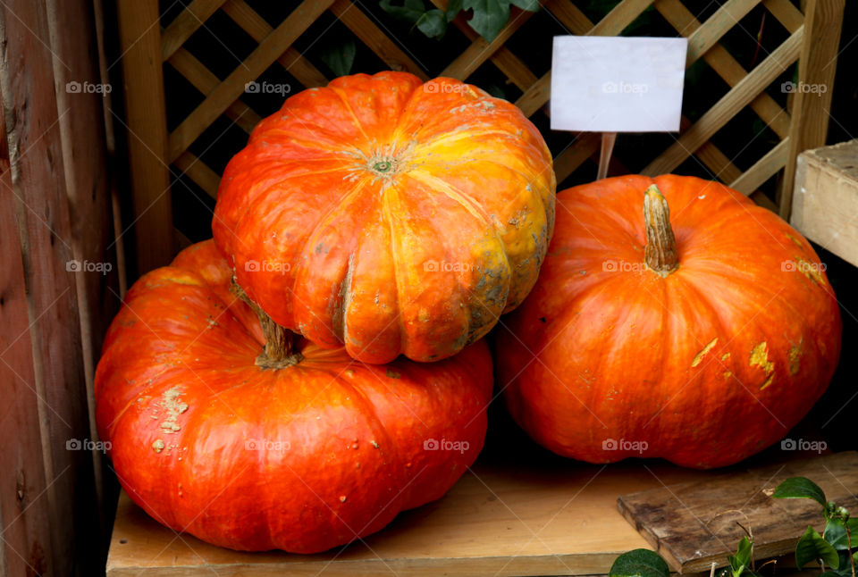 Pumpkins on the table