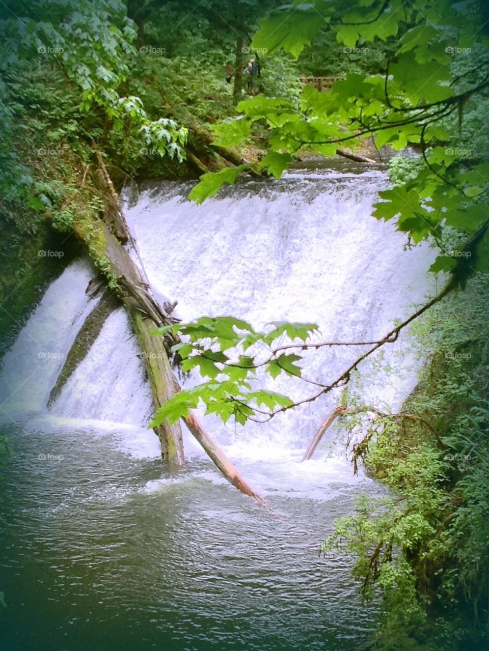 Waterfall Northwest