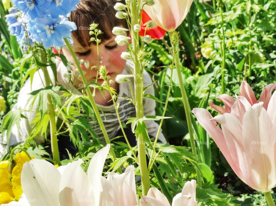 Tulips In A Spring Garden