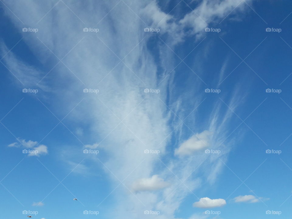 park spring time sun sunny colors colorful nature wild plants flowers amazing stunning cool nice weather hot lovely sky forest grass view splendid