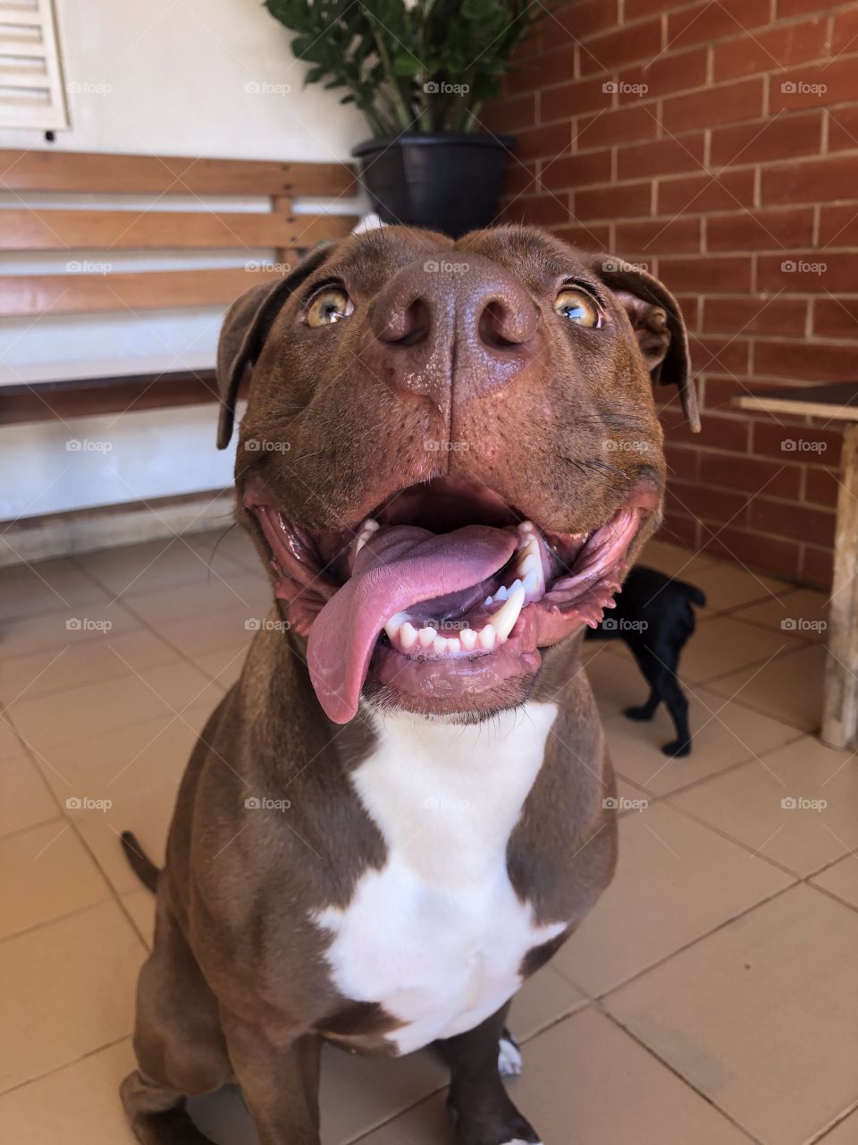 Princesa da minha vida 🥰