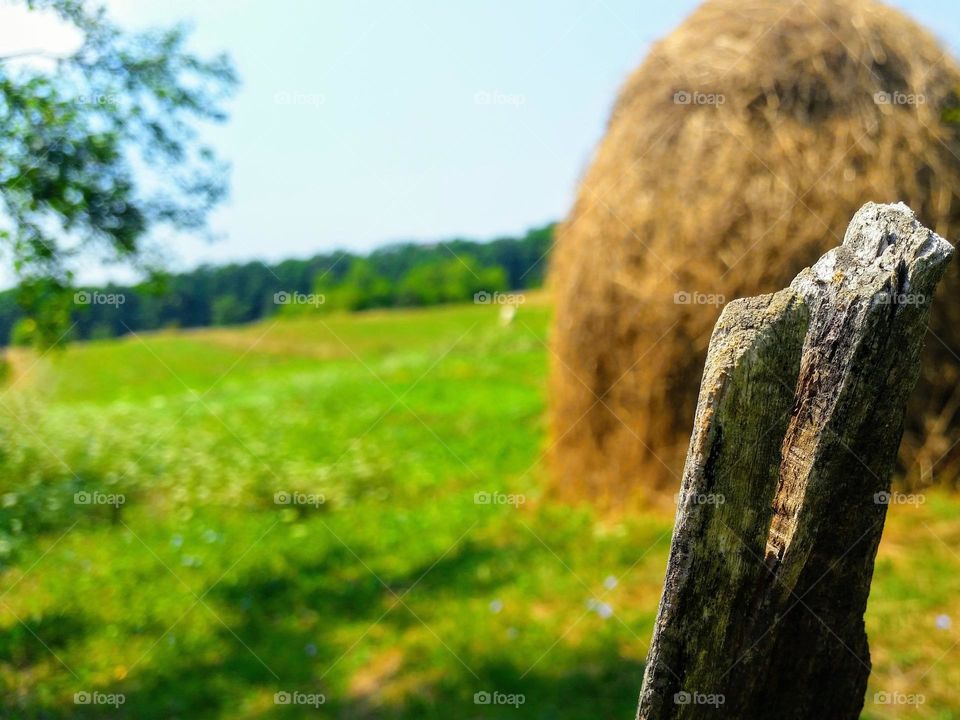 haystack