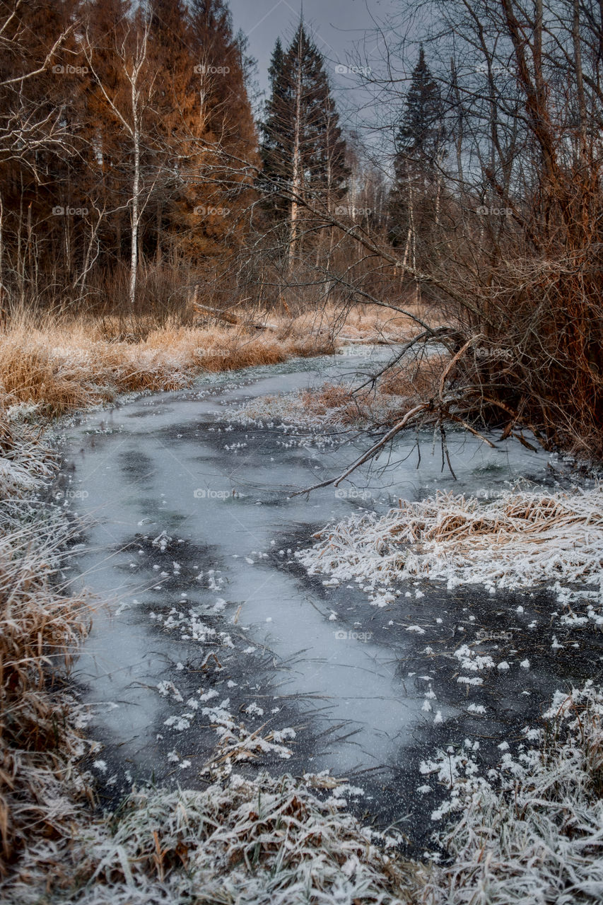 Frozen pond at late autumn 