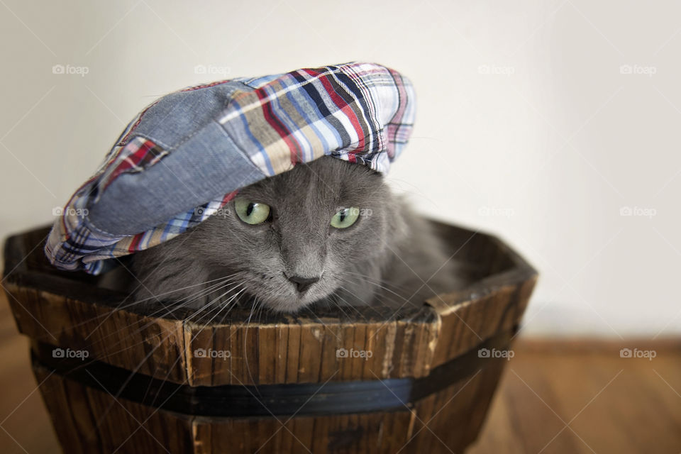 Styling a hat in a fancy, painter way.   And working the camera...