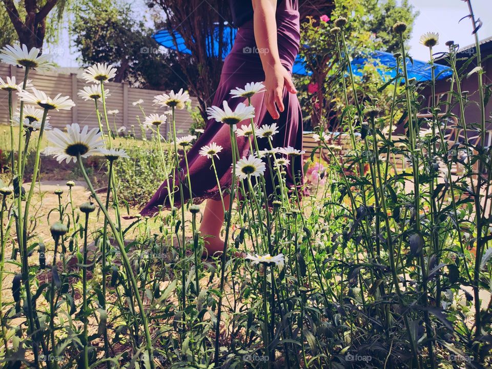 Walking in the garden