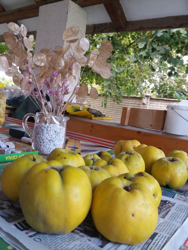 quince