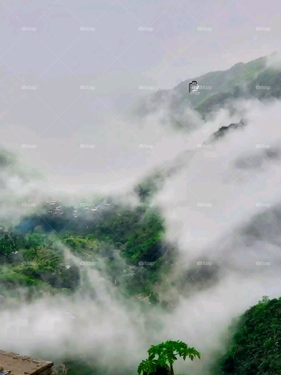 Glory be to God, the magnificent and picturesque view and the natural green trees are a view that is nothing more wonderful than it