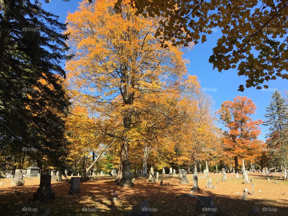 Cemetery in the fall