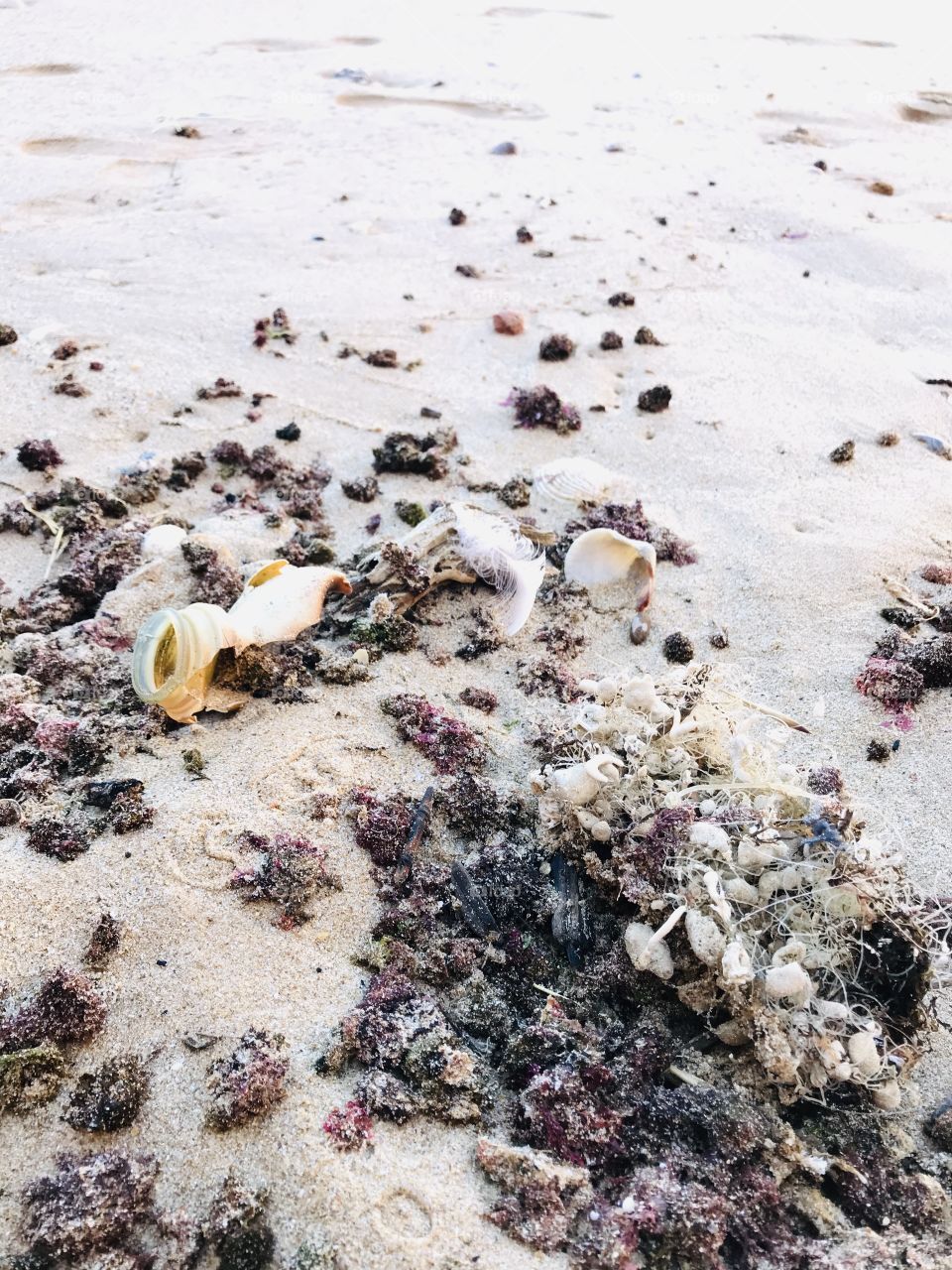 Degraded Environment - beach trash