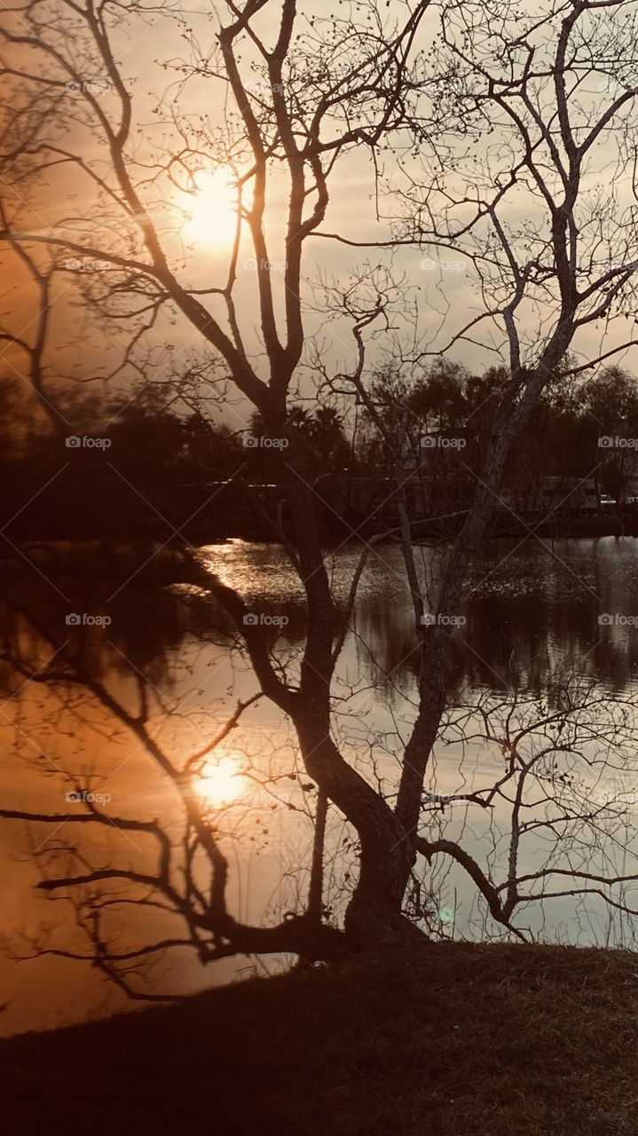A Gorgeous Cold Evening the Sun is Setting. The Lakebed Trees Bare From Winters Bight. The awesome Reflection of the Sun surrounded by Evening Sunsets Colors will Round the Day Completed.