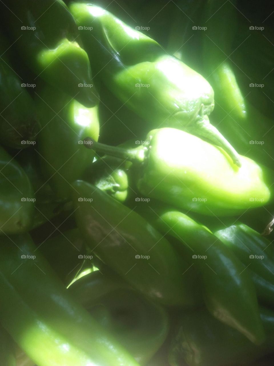 Green Peppers