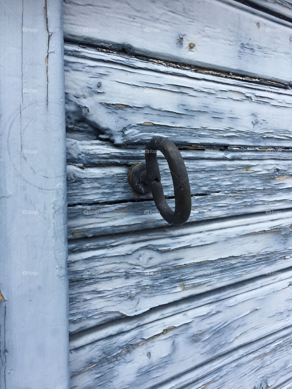 Catched at Öland , Sweden today 