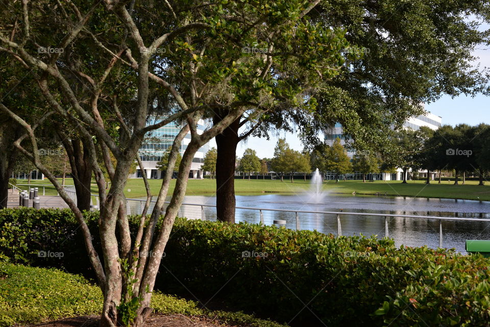 Lake Fountain