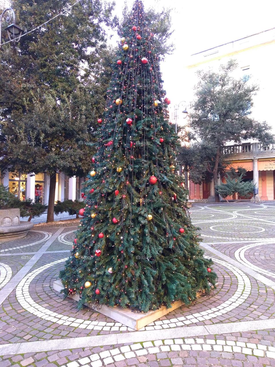 Best of 2021: Nature