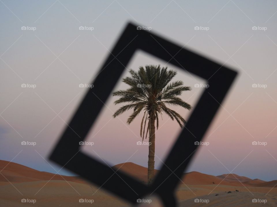 Frame a palmtree