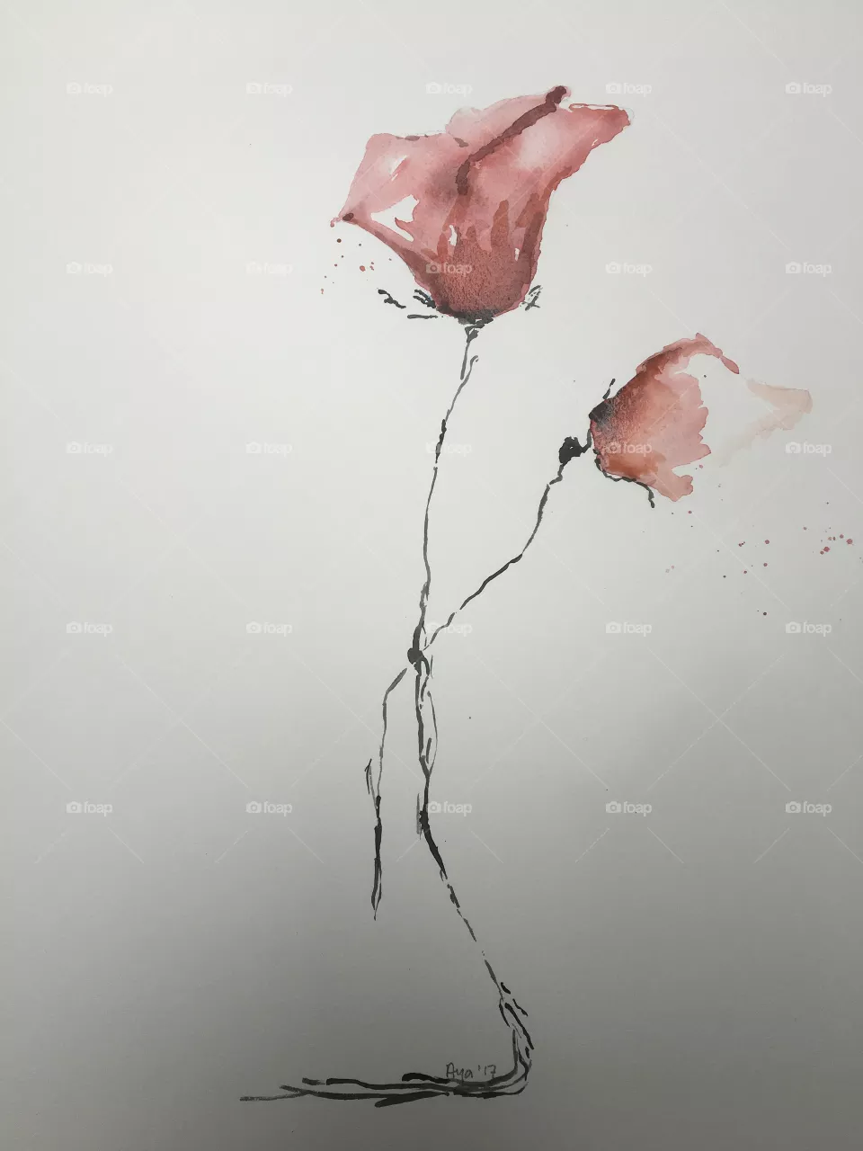 Minimalist
