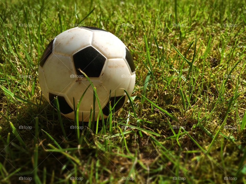Toy Ball. Toy Ball in grass