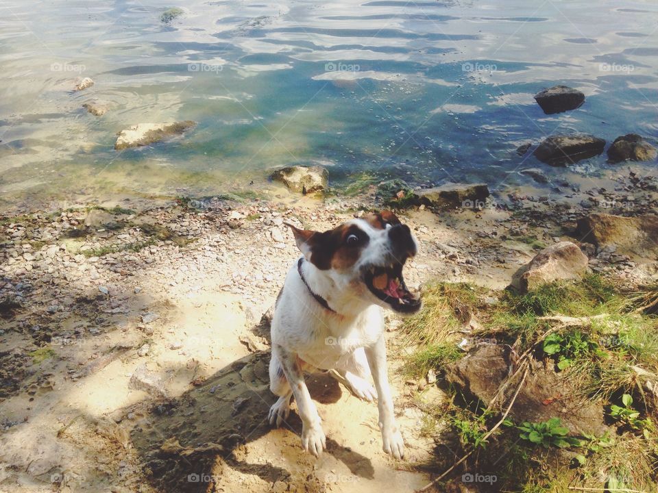 Water, No Person, Outdoors, Sea, Beach