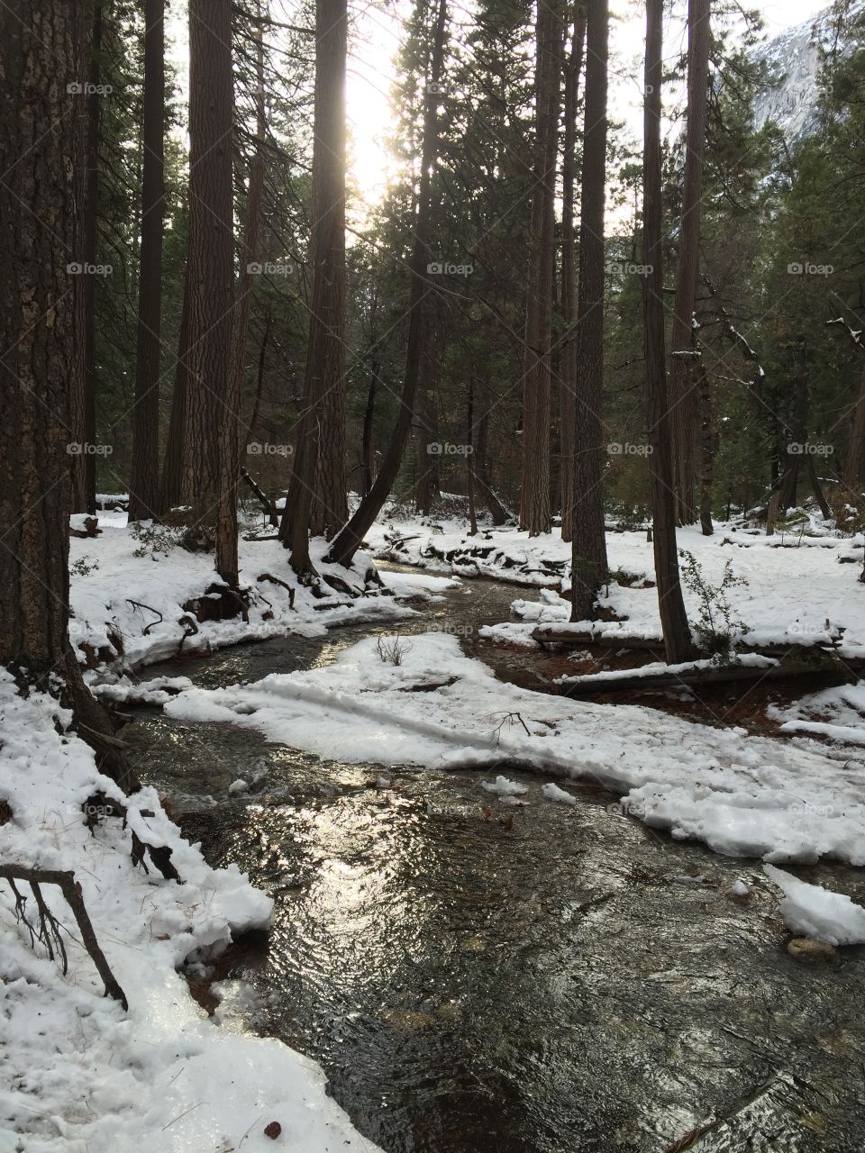 Stream flowing in winter