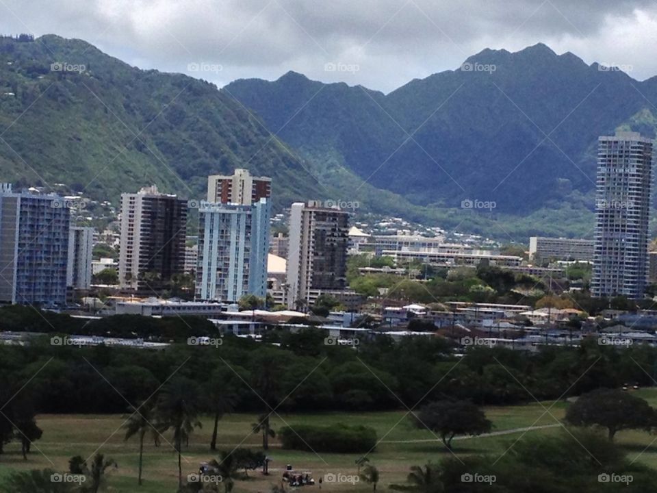 Waikiki Hillside