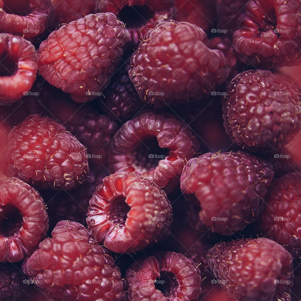 Full frame of raspberry