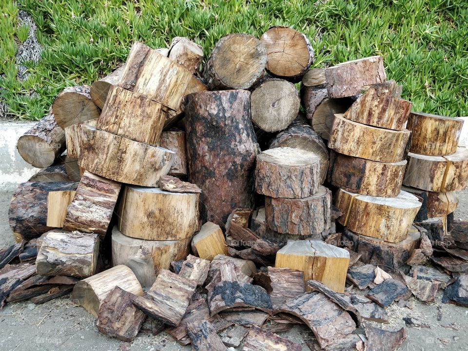 Chopped spruce wood in Cyprus