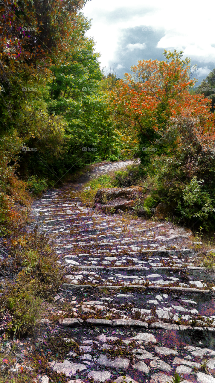 great hiking trail