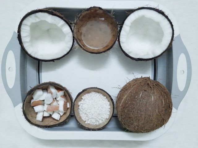 Everything from coconut