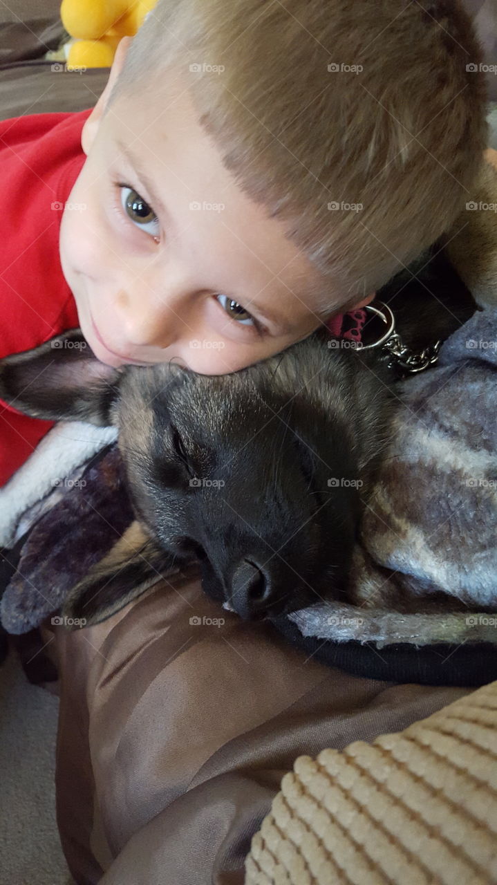 boy and his dog