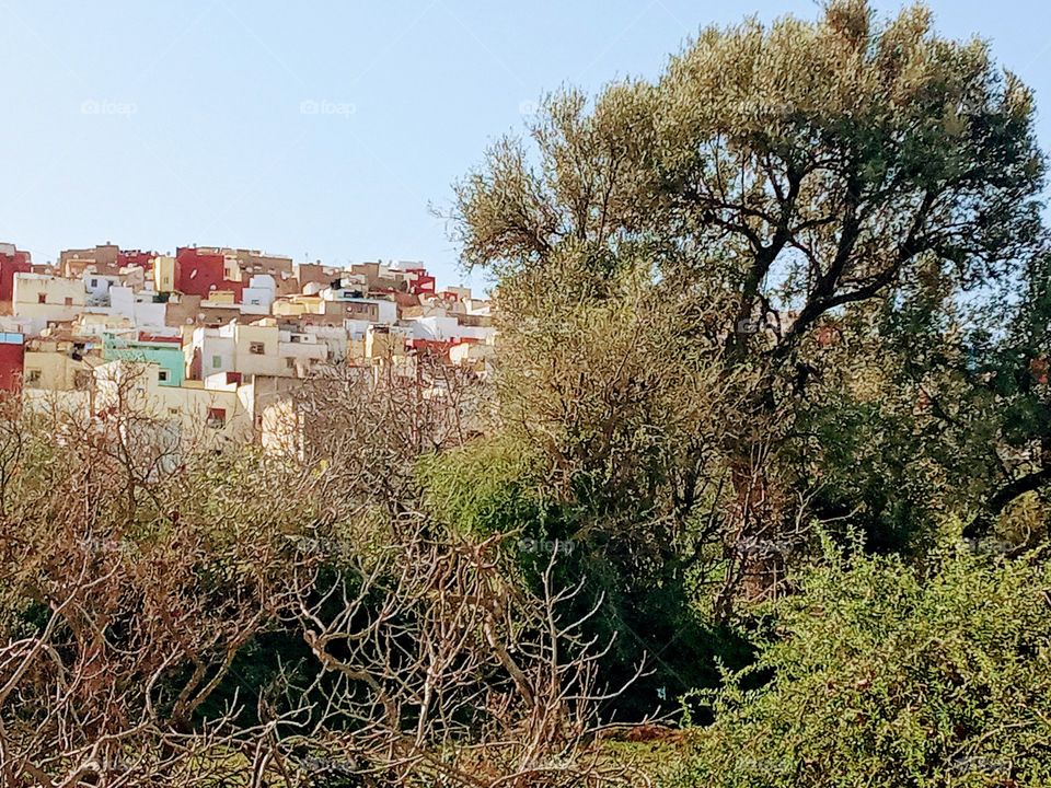 Population between the nature