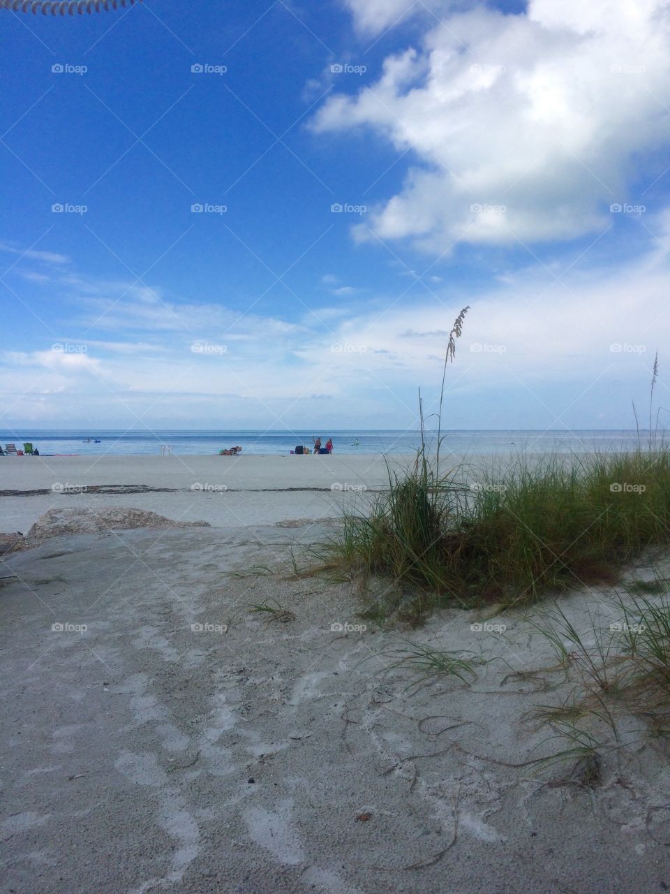 Water, Beach, Sea, Seashore, Sand