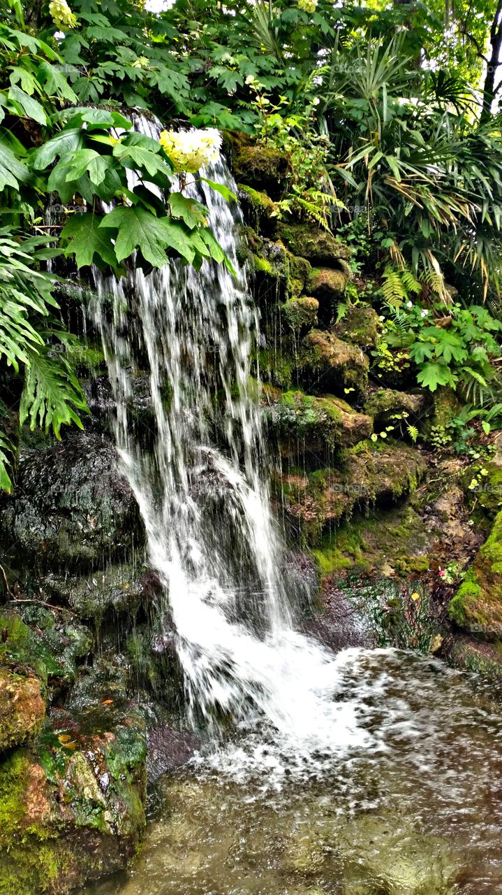 SPRING WATERFALL