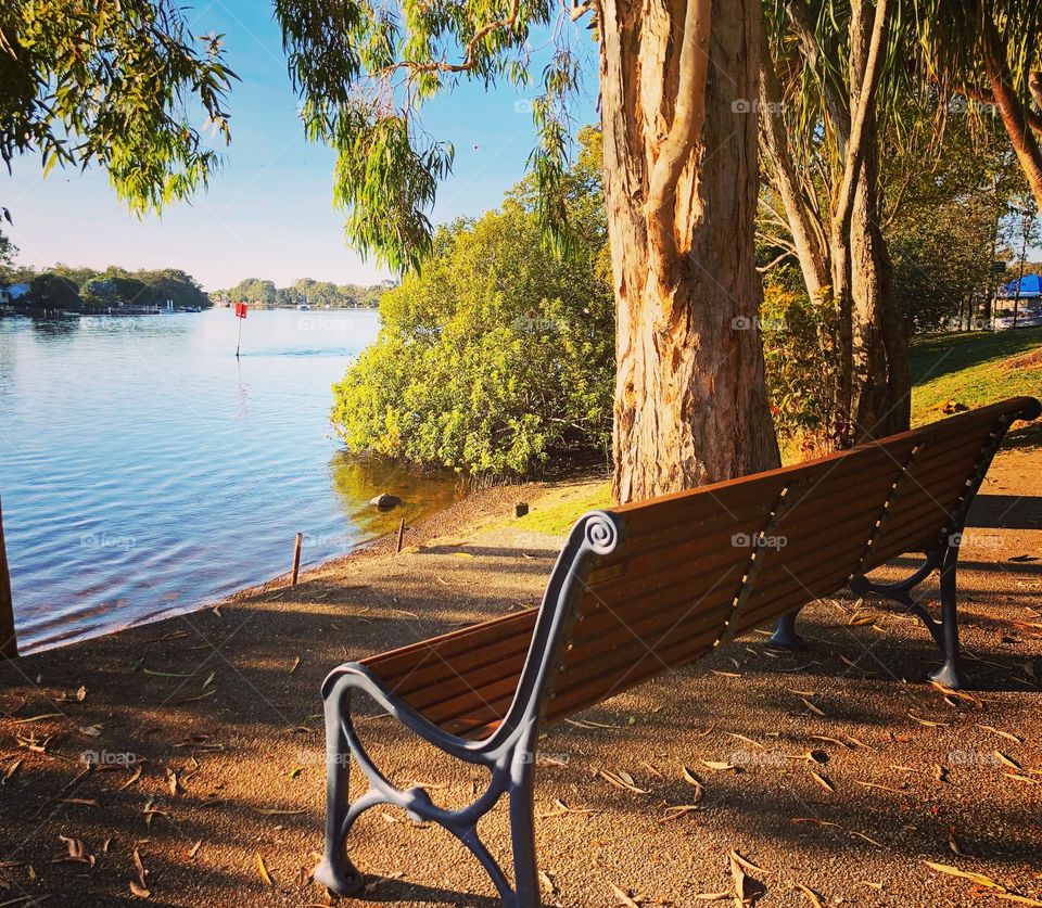 A tranquil place to sit and be looking at blue water of the river under the drooping leaves of the paper gum tree