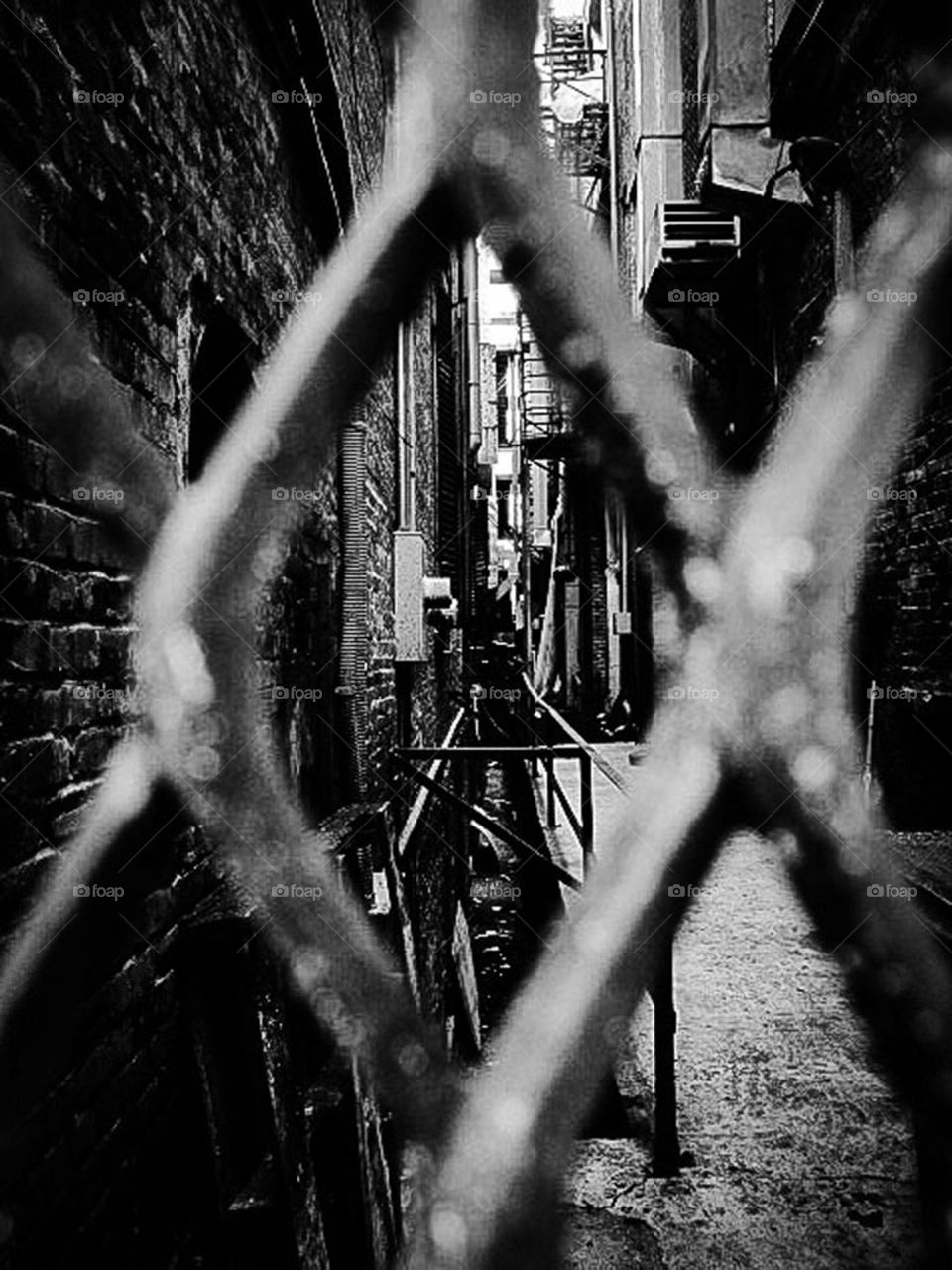 Gap between Two Spaces. An alley between two buildings blocked off by a gate