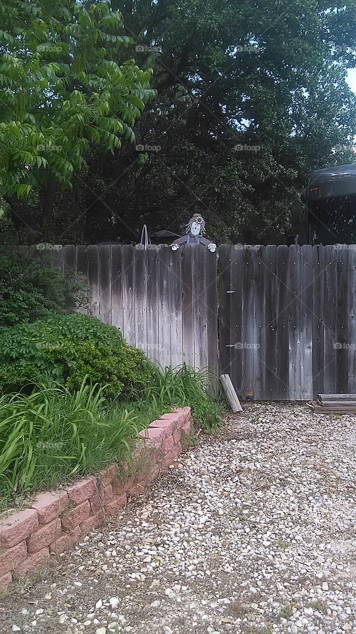 peek a boo. this guy scared me when i took this photo