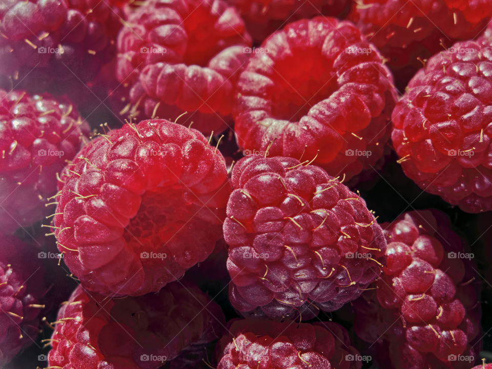 Closeup of fresh raspberries 