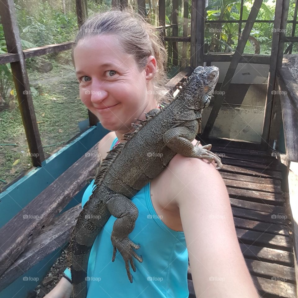 Holding an iguana on my shoulder