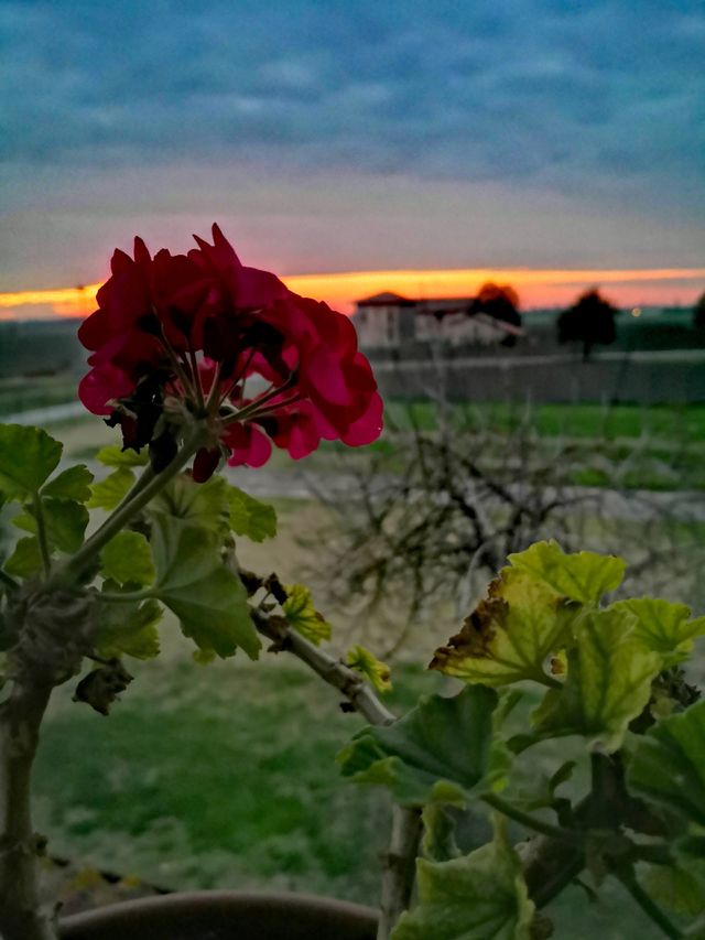 Autumn Sunset