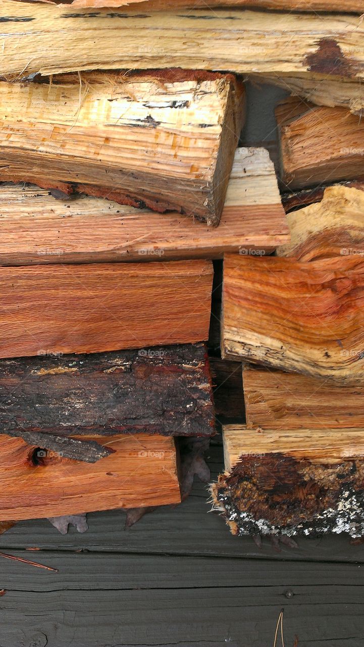 a wood pile in autumn