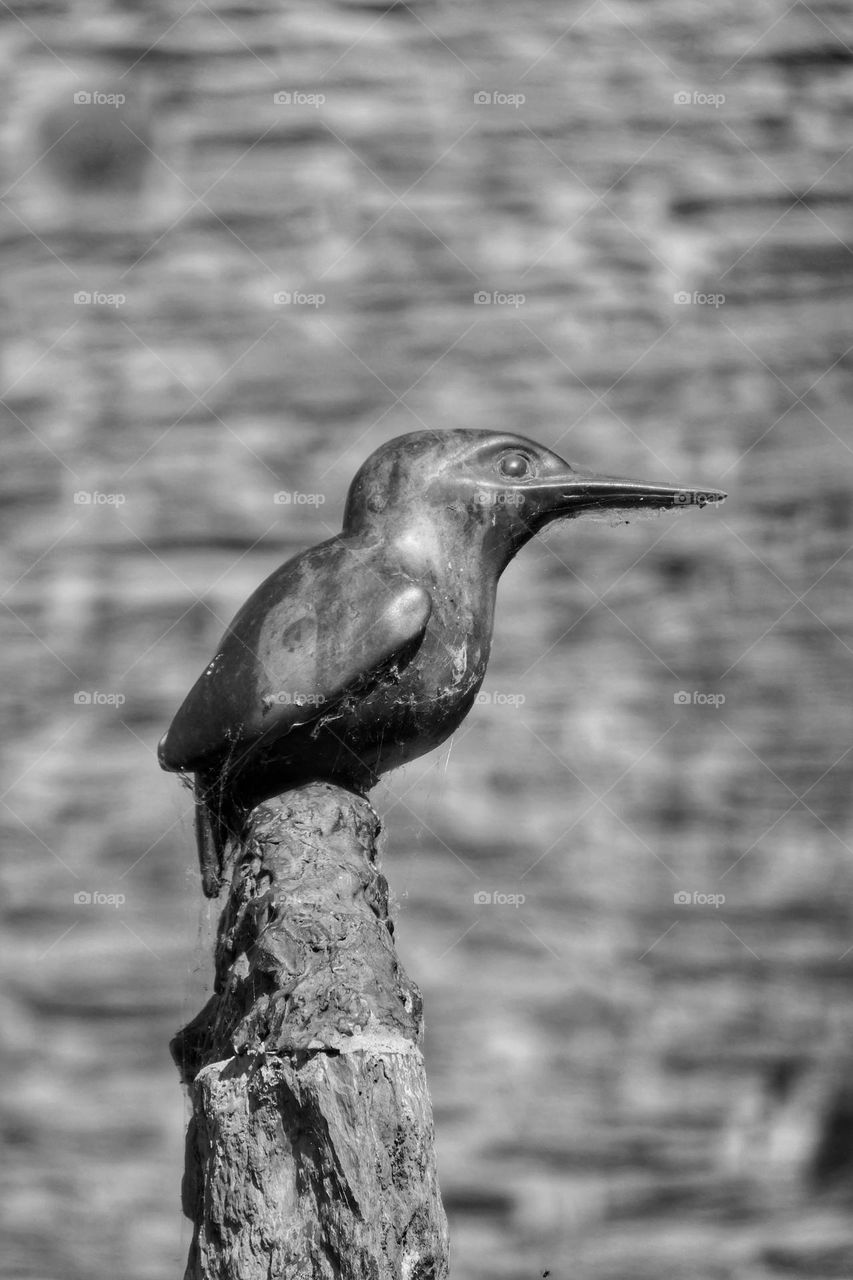 Metal bird statue, at La Gacilly (B&W)