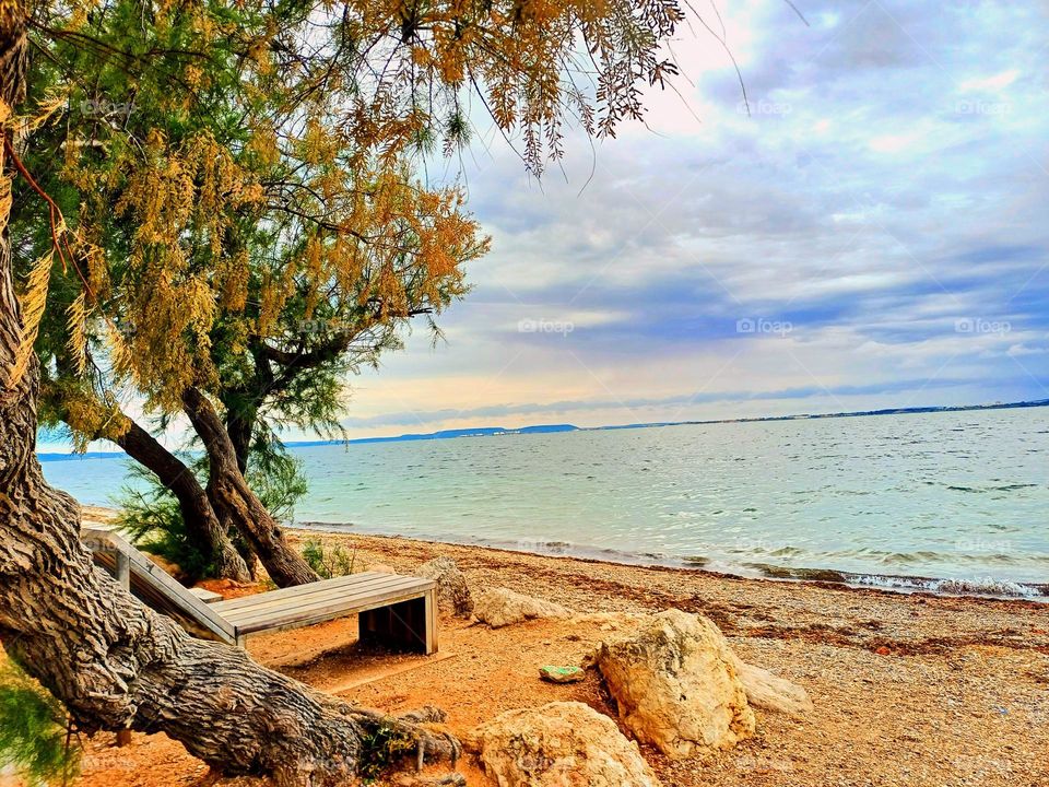 view of the Étang de Berre, a large lagoon located in the south of France. The shoreline is dotted with trees that lean gracefully towards the water, their leaves providing a natural canopy over a wooden bench, inviting relaxation and contemplation.