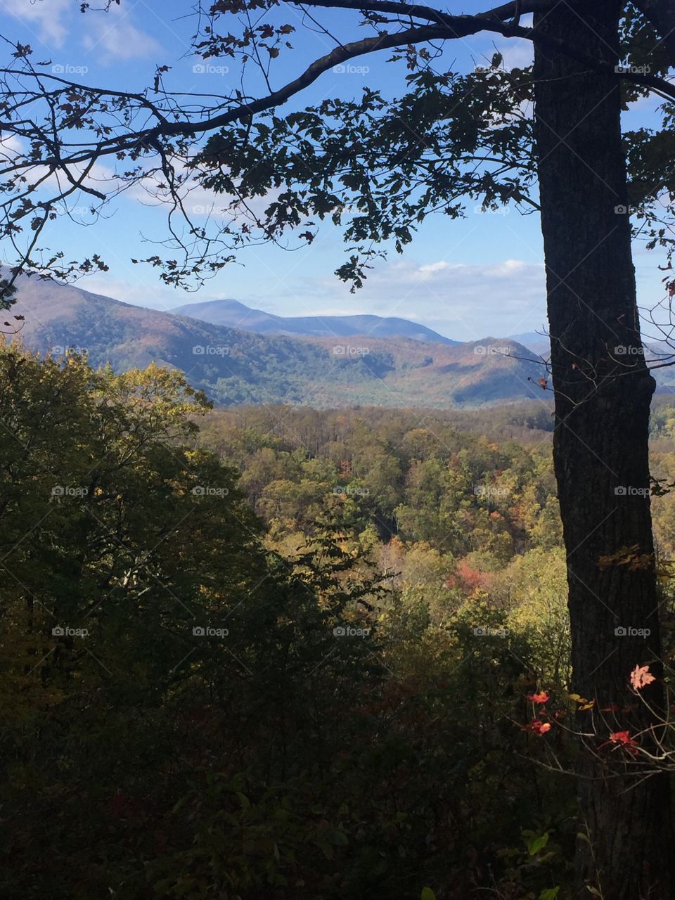 Fall Smoky Mountains 