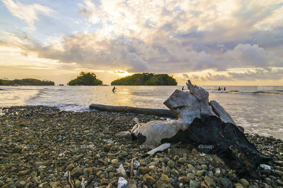 Lets play on the shore!