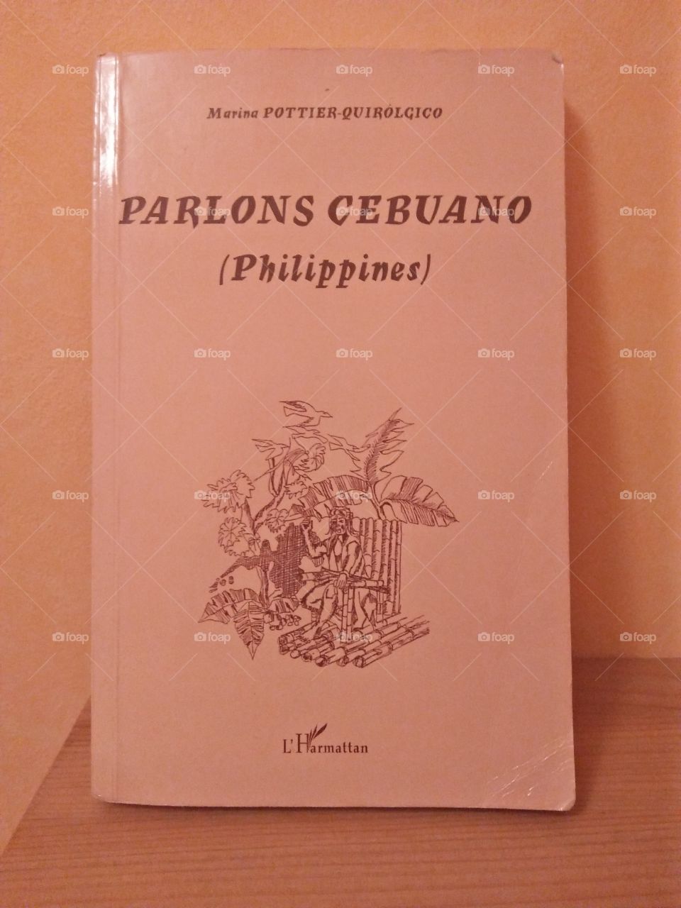 cebuano to french book translation