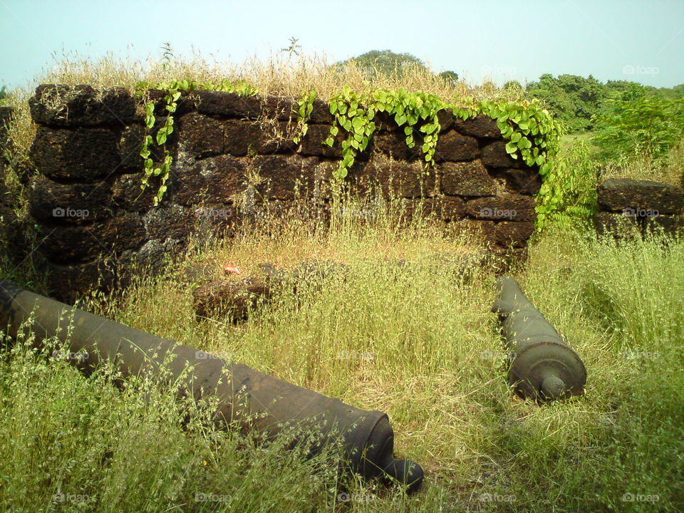 Abandoned Cannons in Goa