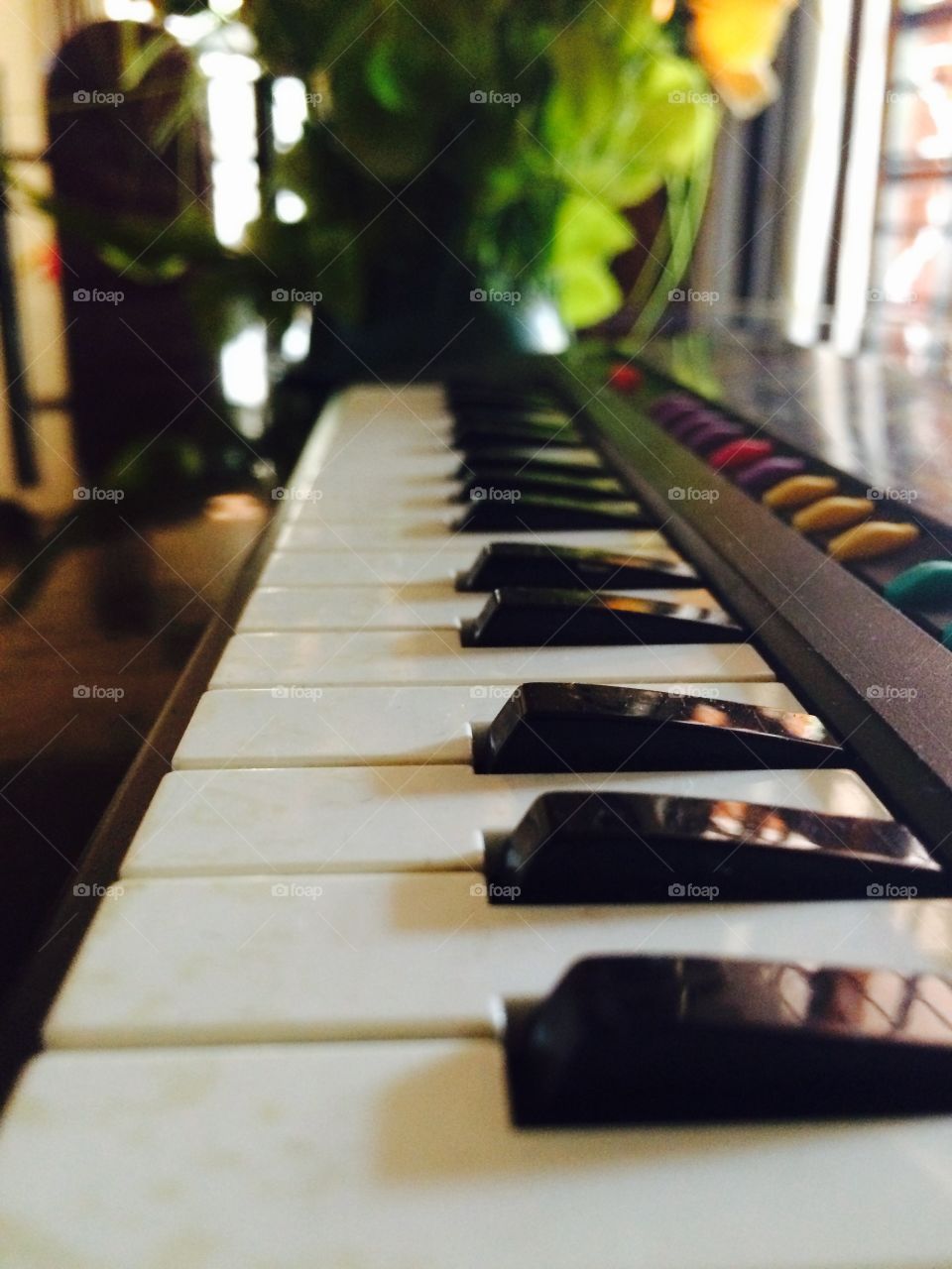 What has keys but cant listen to the beauty it unlocks ? A Piano