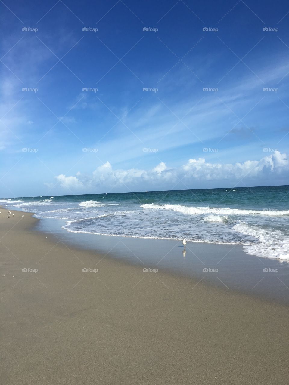 Coast of south Florida 