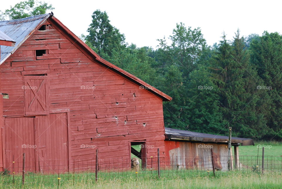 Barn