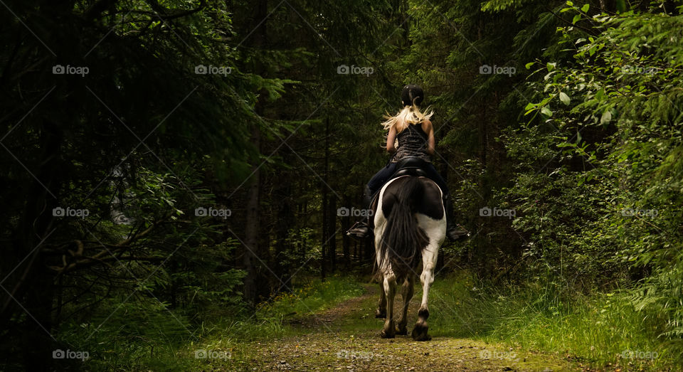 Girl on a Horse