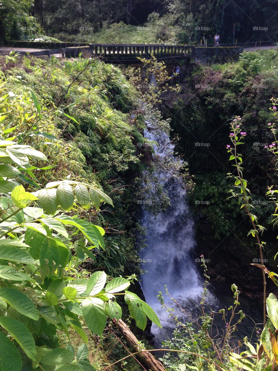 Island waterfall